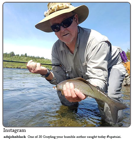 One of 30 Grayling your humble author caught today #Spatsizi